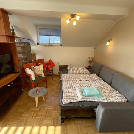 Apartment Kranj - Huge Terrace, Free P, Wi - Fi, Ac Kültér fotó