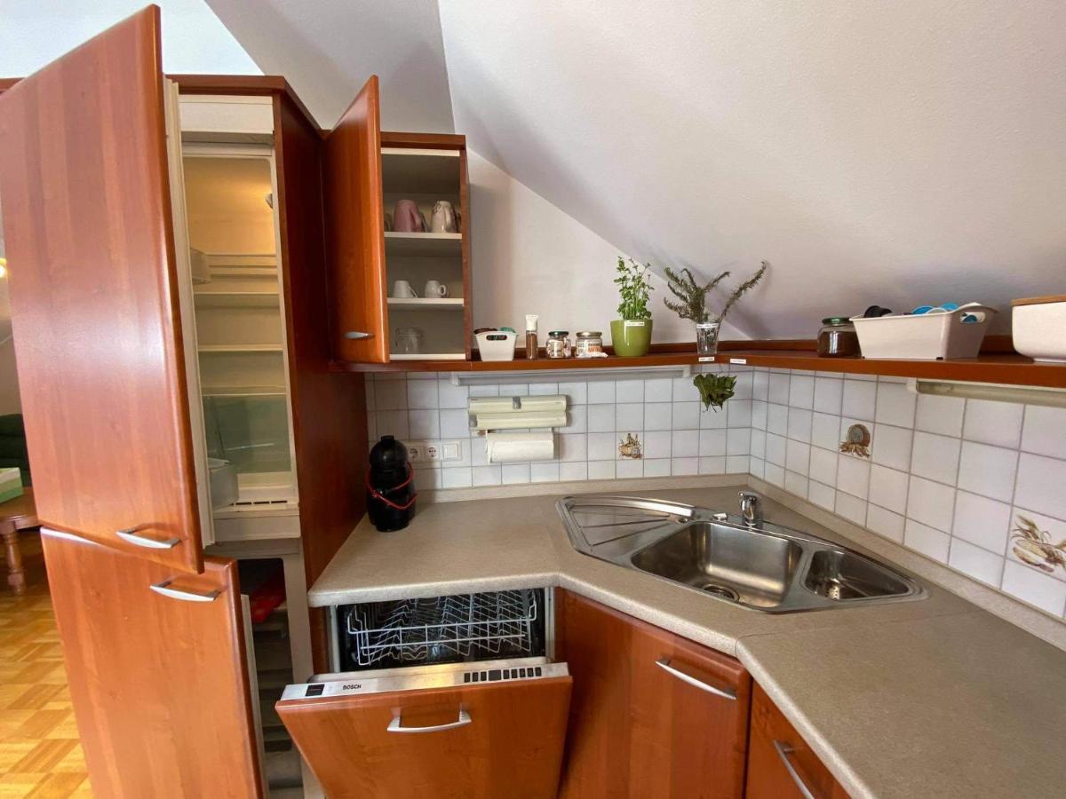 Apartment Kranj - Huge Terrace, Free P, Wi - Fi, Ac Kültér fotó