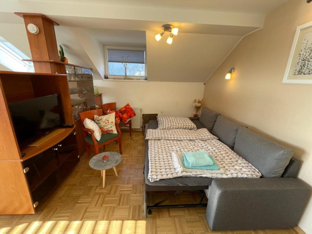 Apartment Kranj - Huge Terrace, Free P, Wi - Fi, Ac Kültér fotó
