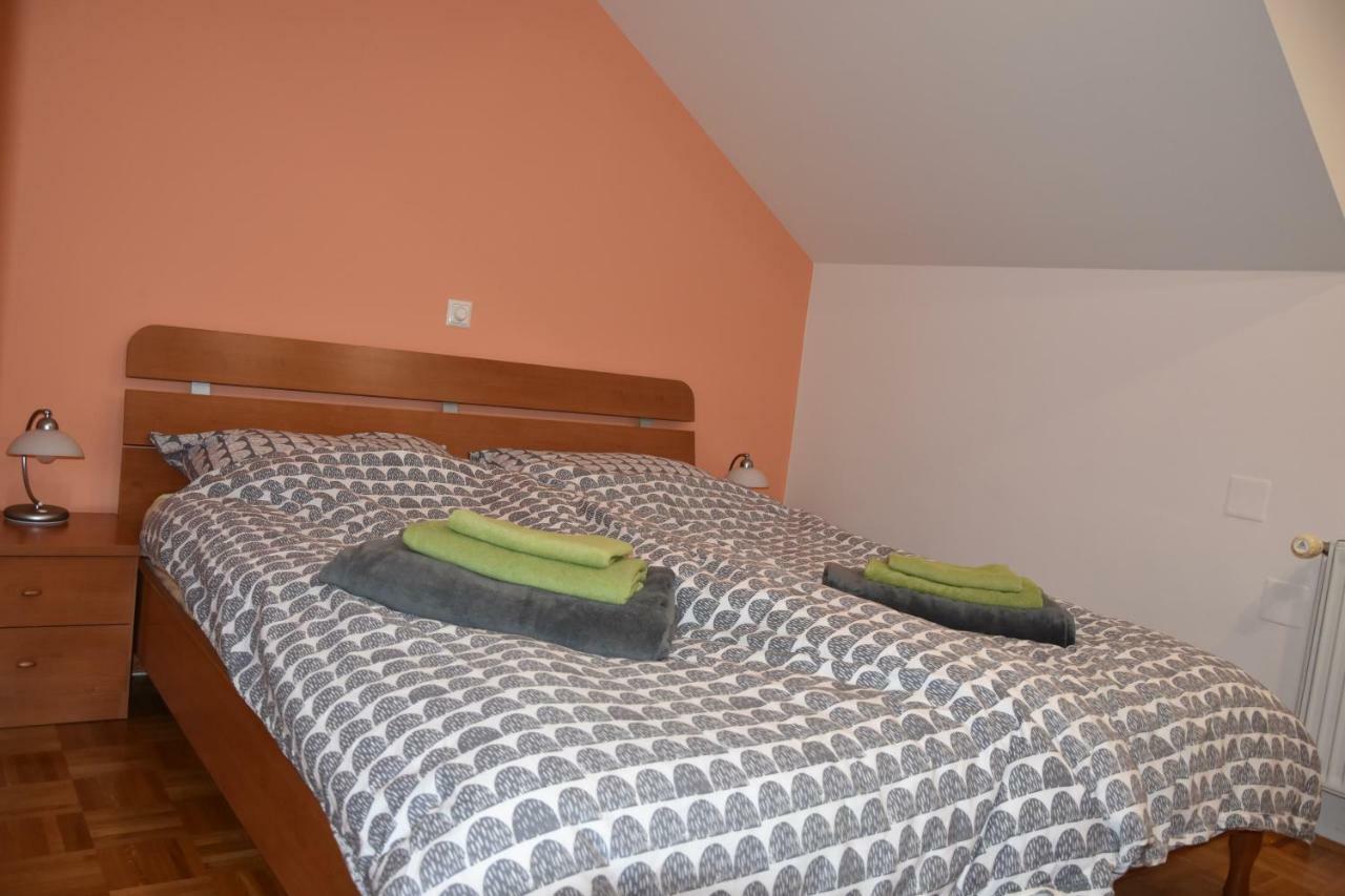 Apartment Kranj - Huge Terrace, Free P, Wi - Fi, Ac Kültér fotó